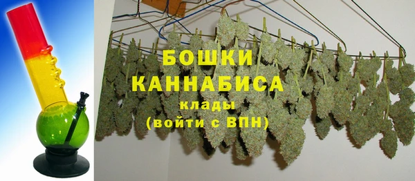 крисы Богородск