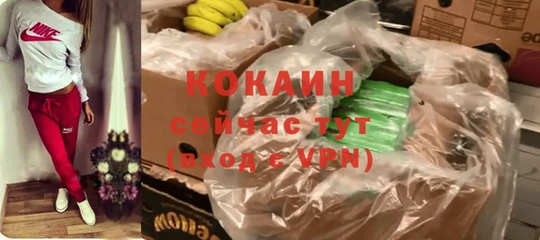 крисы Богородск