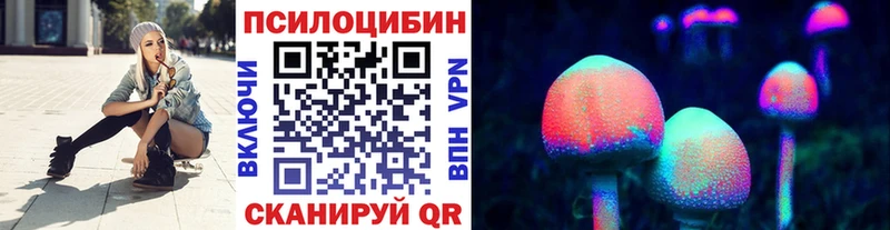 Псилоцибиновые грибы GOLDEN TEACHER  даркнет телеграм  Северск 