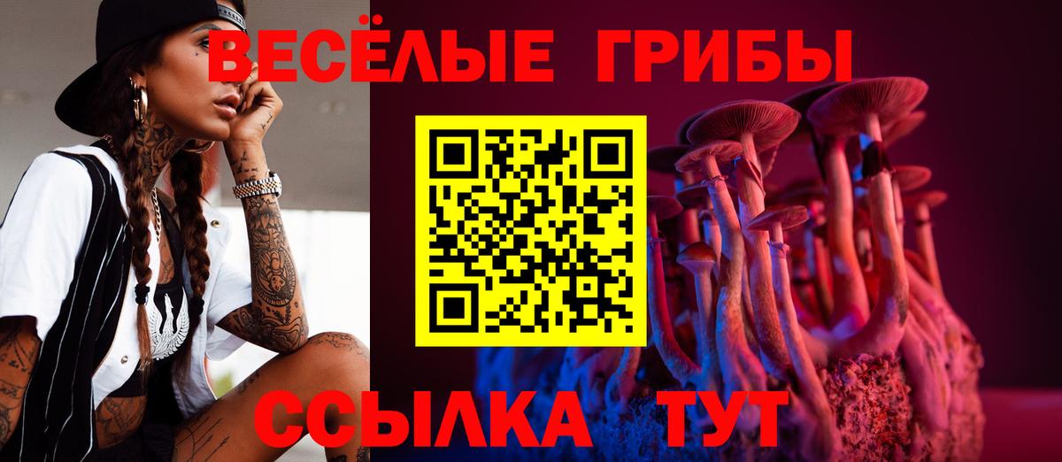 Северск  Галлюциногенные грибы мицелий  Псилоцибиновые грибы ЛСД  Вход с VPN 