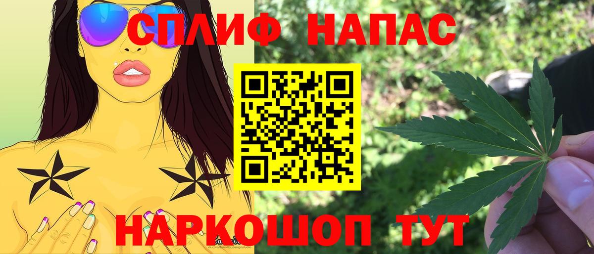 Марихуана сатива Северск